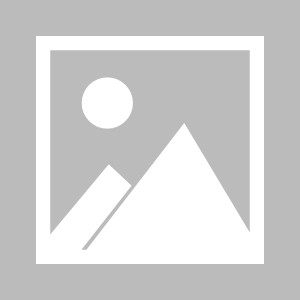 【中超】成都蓉城vs长春亚泰比赛结果：成都蓉城(1-0)长春亚泰比分战报(2025年09月12日)